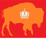 Republic Of European Bisons