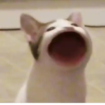 The Awēsome Frieňdš