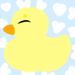 Duck support