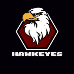 Hawkeyes Studio