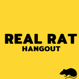 Real Rat Hangout!