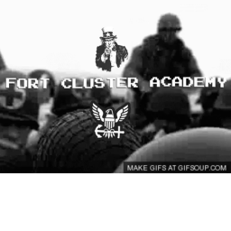 Fort Cluster Academy