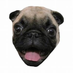 Pug Gamer's Squad
