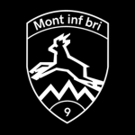Mountain Infantry Brigade 9