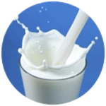 🥛MILK! (Regenerates HP!)