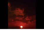 Fruits<3