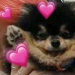 Yeontan nwn
