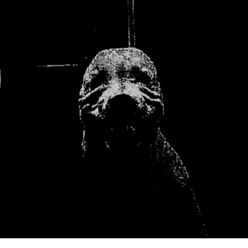 paradies roblox map!