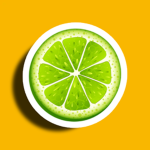 Bright Lime Studios