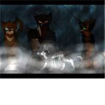 .:Stormclan's Redemption:.