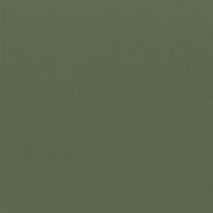 Dark Green Roblox decal