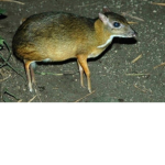 Spoccyyyyyy