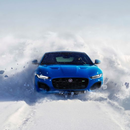jaguar car racing and land rover