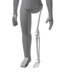 White Skeleton - Left Leg