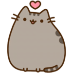 KITTY SQUAD!!!!