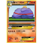 Your Pokémon card