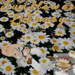 Sunflower Library