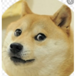 For doge