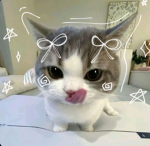 |~Gigi Avatar Ranking~|