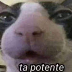 NinameGames
