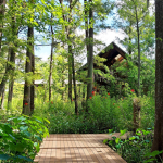 Anna’s Botanical Garden