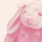 Strawberry-clothes