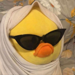 DUCK DUDES >:D