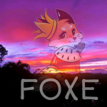 foxedéveloppement