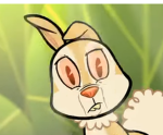 Animations & Stuff