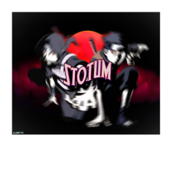 Stotum