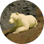Gamepass Thumbnail