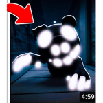 Dddd piggy