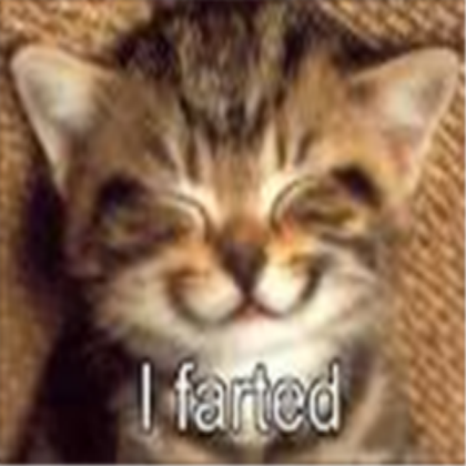funny cat farted *difrent* Roblox decal