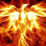 Family Phoenix