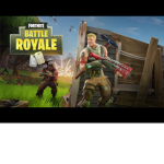 Fortnite Battle Royale Fans!