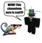 The cool chameleons