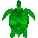 Awesome turtle Squad