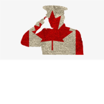 Canadian Army forces Community!