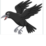 Ravens squad :]