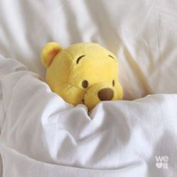 ・❥・