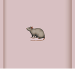 Asethetic rats