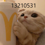 lenti23