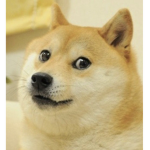 #Doge Army and the doge king!