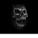 Blind skulls