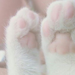 ♡