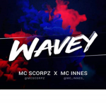wavey's