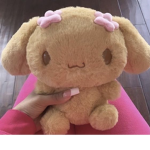 'sugarbunni