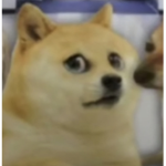 I Am A Dog Bro Fan Group