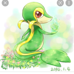 La pokémon team
