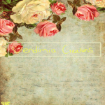 Vendimia Creations